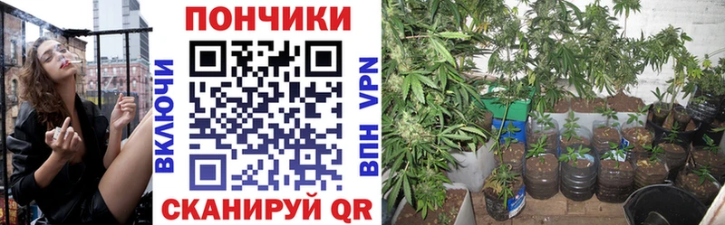 Наркошоп Котельники АМФ МЕФ ГАШИШ Канабис Alpha-PVP