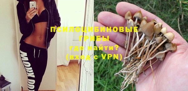 сатива Алексеевка