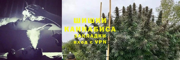 сатива Алексеевка