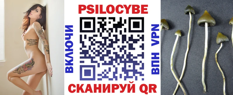 купить   ссылка на мегу как войти  Галлюциногенные грибы прущие грибы  Котельники 